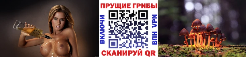 Псилоцибиновые грибы MAGIC MUSHROOMS  Кизляр 